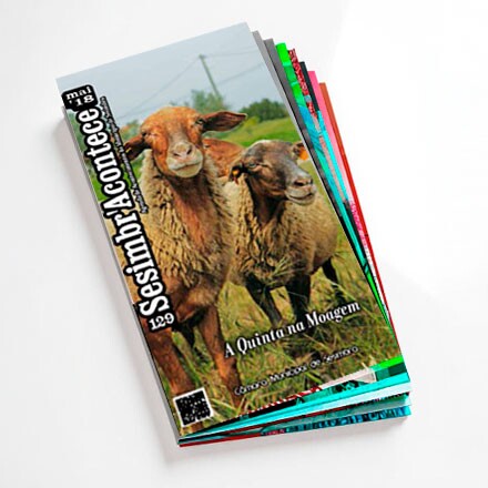 Imagem descritiva de pasta