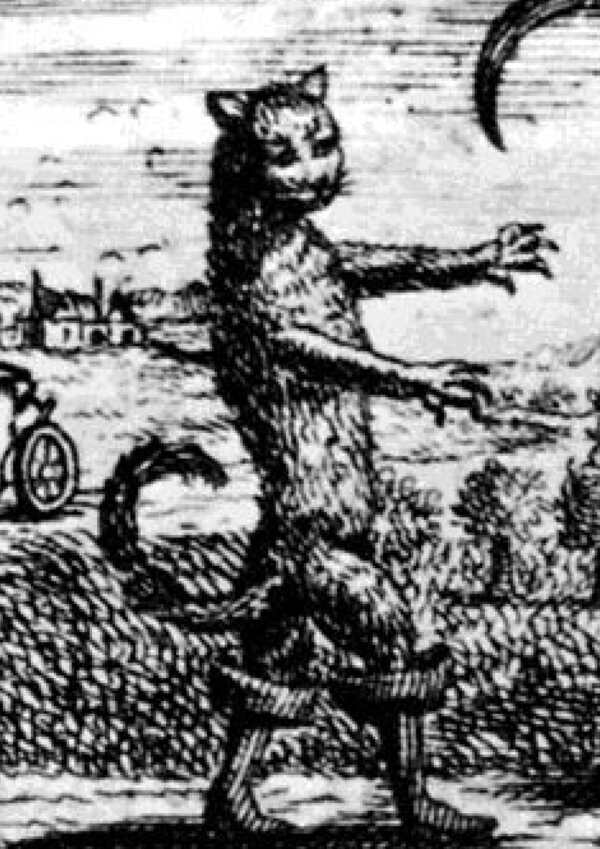 conta_la_outra_vez_gato_das_botas_500x700