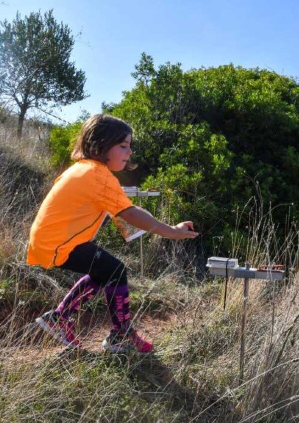 orientacao_azoia_online