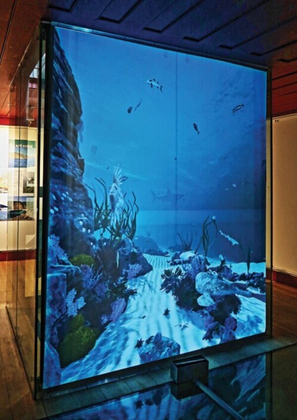 aquario_museu