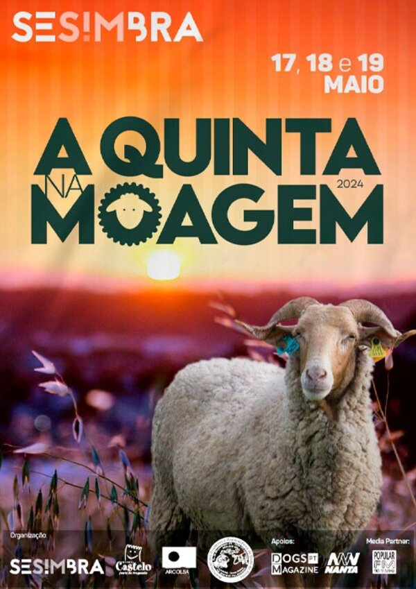 quinta_moagem_2024