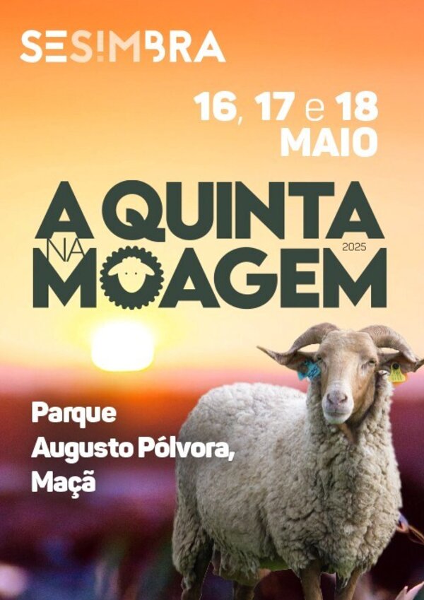 thumbnail_banner500x700_moagem