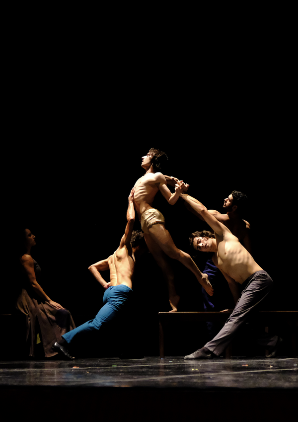 2amaramalia__joao_costa