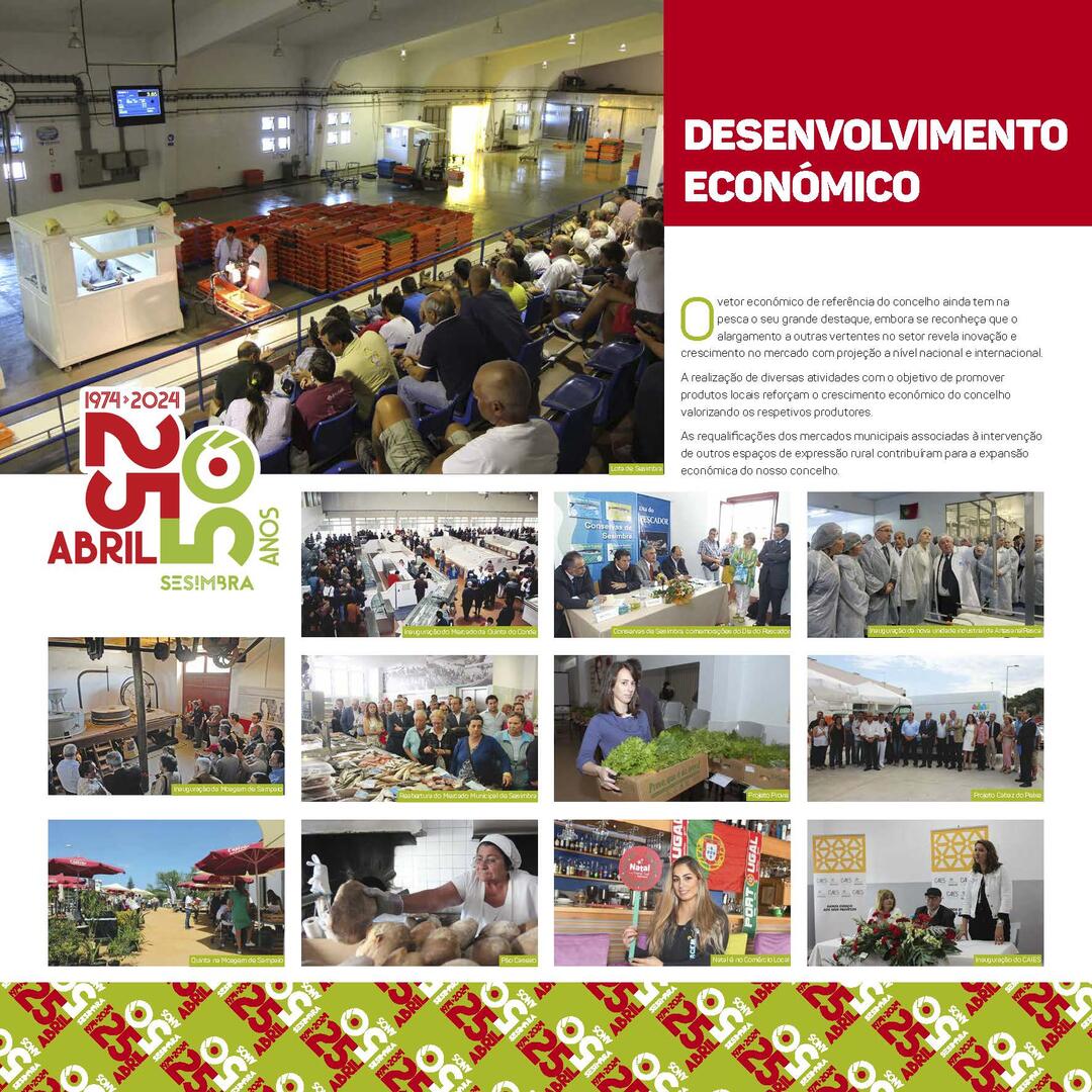 Desenvolvimento Económico