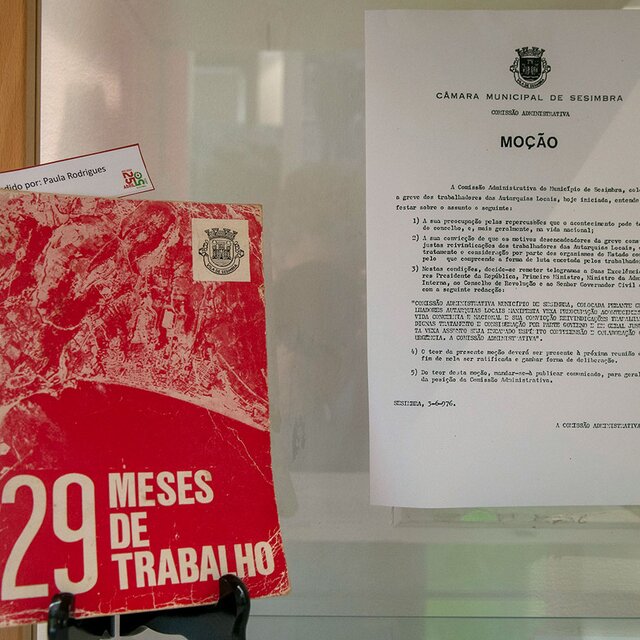 vivi_abril_conde_ferreira11