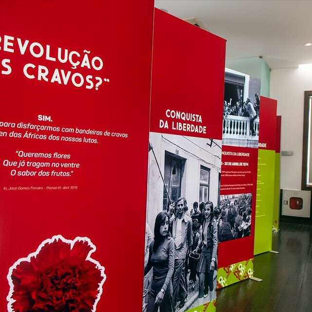 vivi_abril_conde_ferreira19