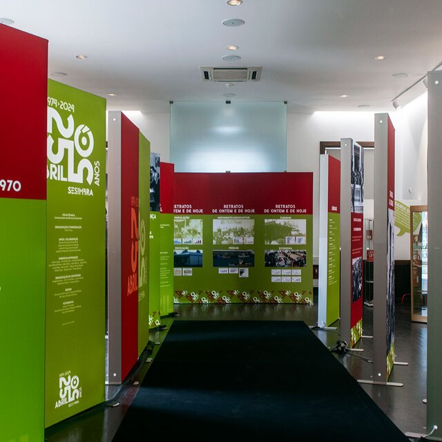 vivi_abril_conde_ferreira24