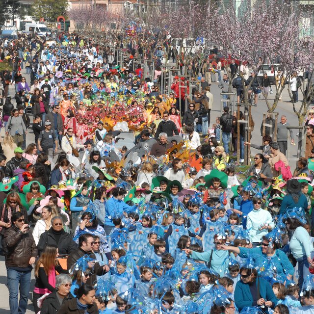 Carnaval_est_ensino__7_