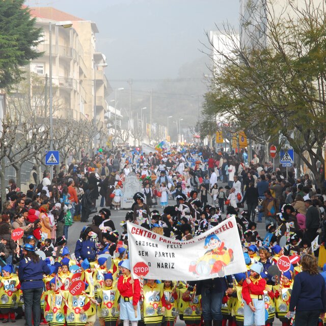 Carnaval_est_ensino__8_