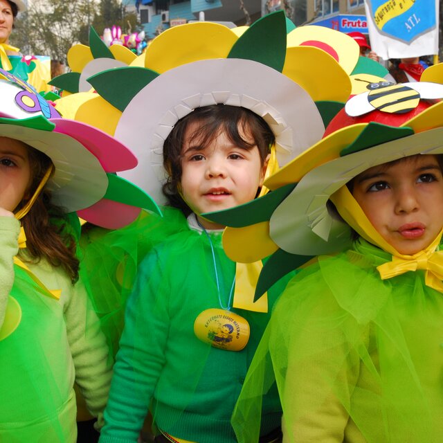 Carnaval_est_ensino__9_