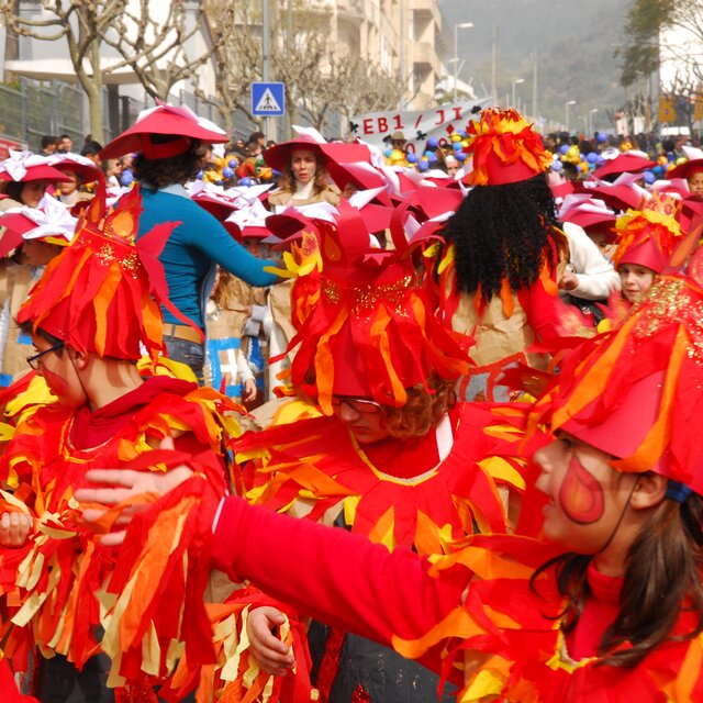 Carnaval_est_ensino__12_