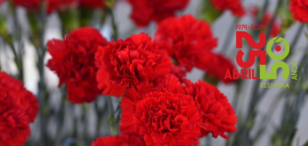 cravos_topo_25_de_abril