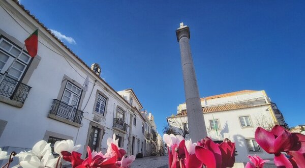 tolerancia_de_ponto_carnaval