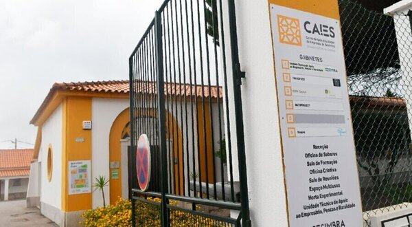 caies__1__1_