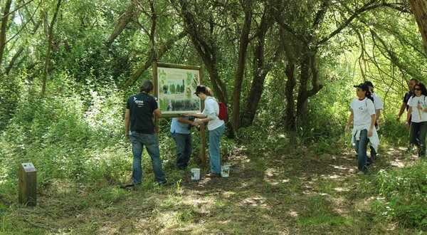 acao_ibm_lagoa_pequena