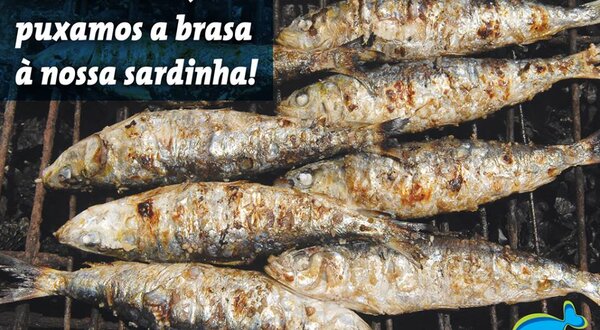 sardinhas_n