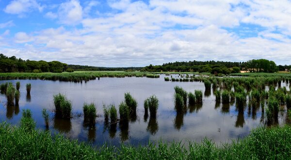 lagoa-panoramica-topo