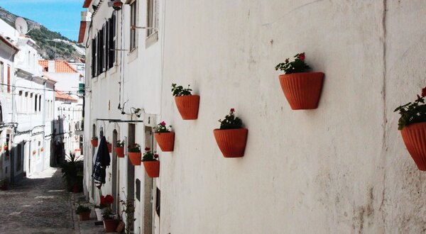 sesimbra-ondas-flores