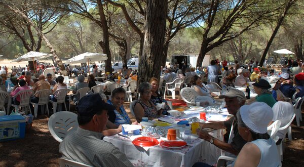 RJR_sardinhada-idoso-_8_