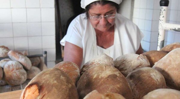 dia-mundial-alimentacao-pao