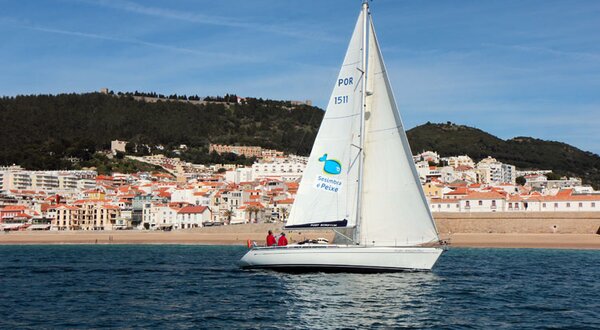 Veleiro-sesimbra_176_