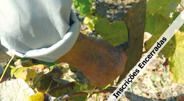 curso-poda-enxertia-lotado