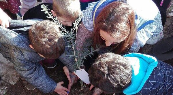 8-JI-P-General-plantar-a-ol