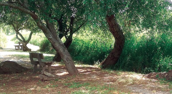 parque-ribeira-limpeza