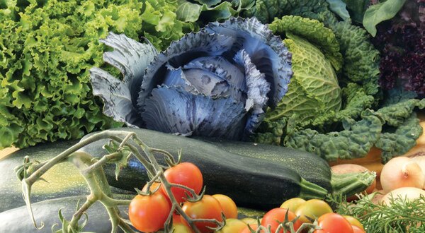 startups_candidaturas