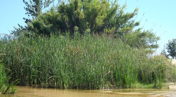 parque_ribeira_coina