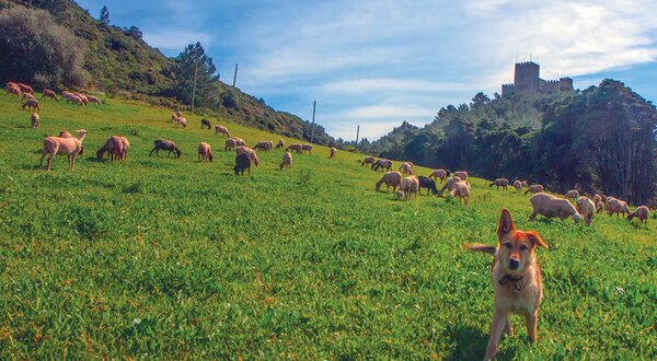 expo_momentos-sesimbra