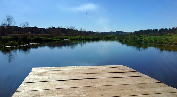 redescobrir-parque-varzea-q_1_1024_2500