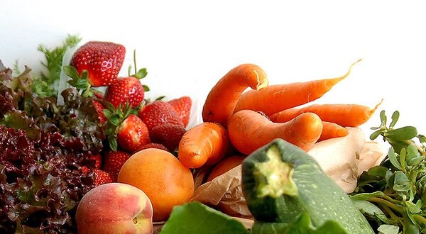 encontro_nutricao_rjr_0151