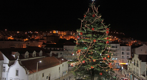 jardim_iluminado_natal