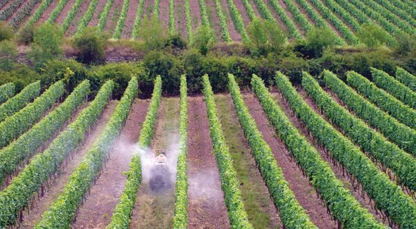 fitofarmaceuticos_1_1024_2500