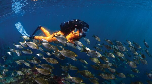 rui_palma_dsc4503jpg