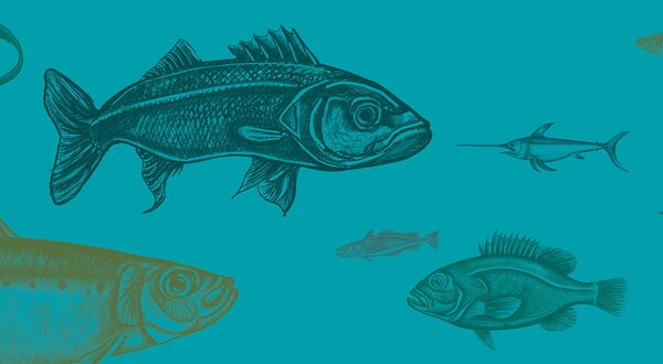 site_quinzenasesimbrapeixe