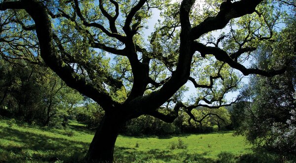 guia_arrabida_espichel