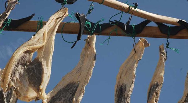 oficina_peixe_seco_1_1024_2500