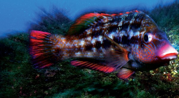 rui_bernardo_tacafotografia