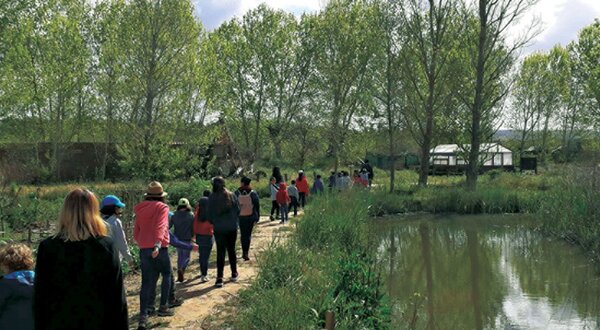 anime_ecoferias_pascoa