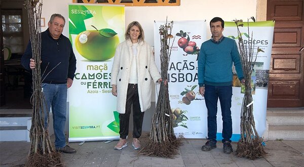 premiomacas_camoesas