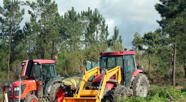 formacao_tratores_img_7081_1_1024_2500