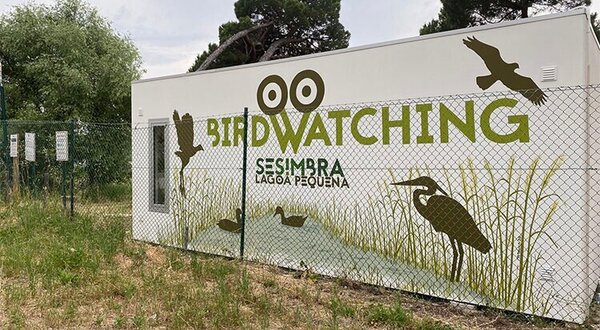 lagoa_pequena_birdwatching_2020_1_1024_2500