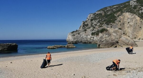 limpeza_ribeiro_cavalo