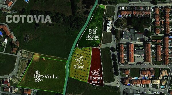 hortas_solidarias_sampaio_alargamento