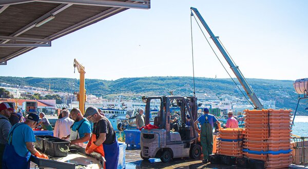 porto_abrigo_1920x755