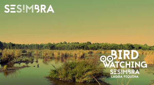 banner_lagoapeq_900x500