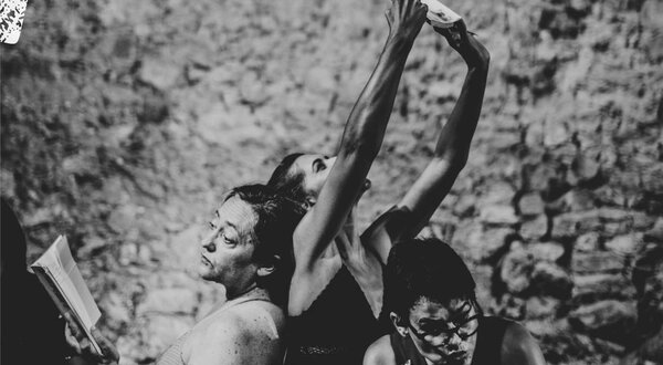 roubei_um_livro_site_ser