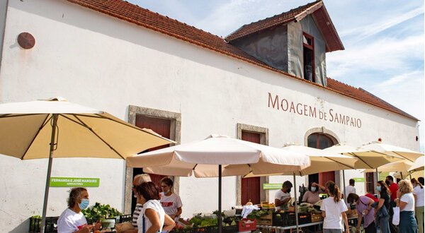 moagem_mercado_900_500